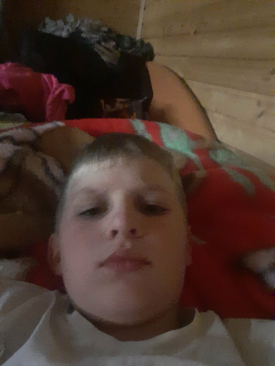 Гостиница Каргополь Каргополь-78